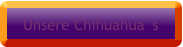 Unsere Chihuahua´s